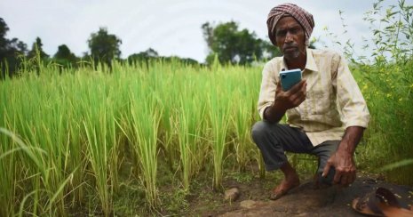New weather forecasting system launched for Bangladeshi farmers